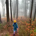 V Lese * Bedřichov