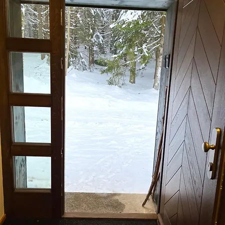 V Lese Apartman