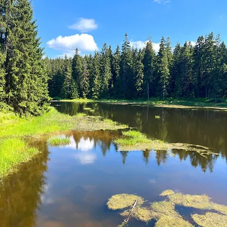 V Lese Apartmán Bedřichov