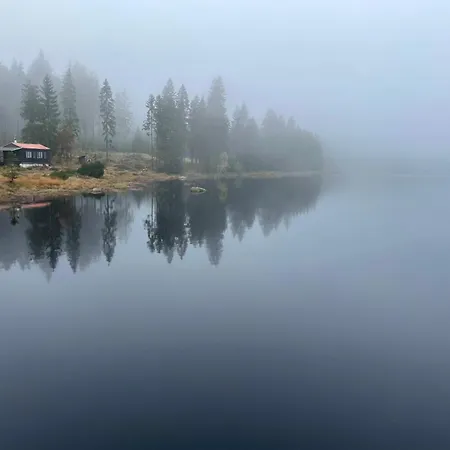 V Lese Apartmán Bedřichov