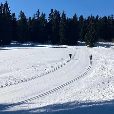 Appartamento V Lese Bedřichov