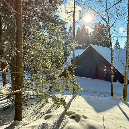 V Lese Apartmán Bedřichov